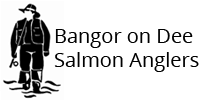 bodsaa logo