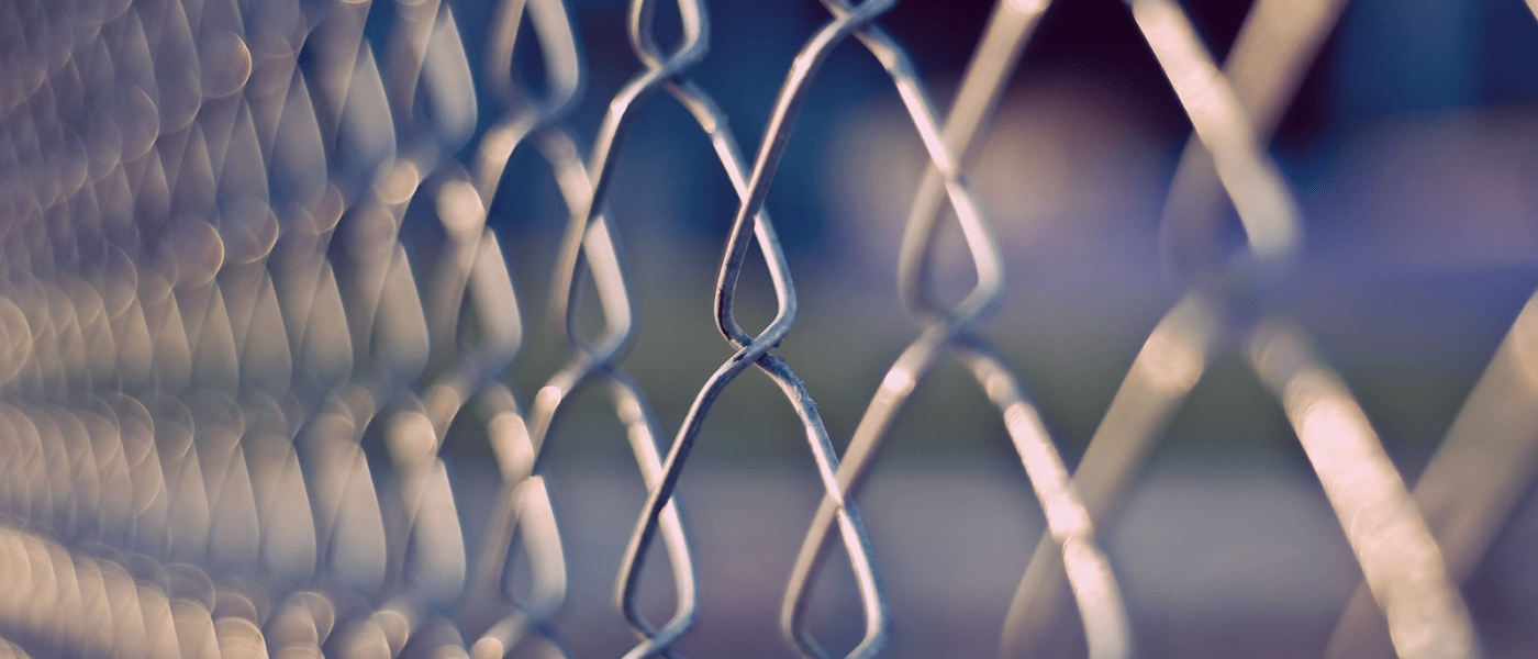  Google Penalty Recovery & Link Removal