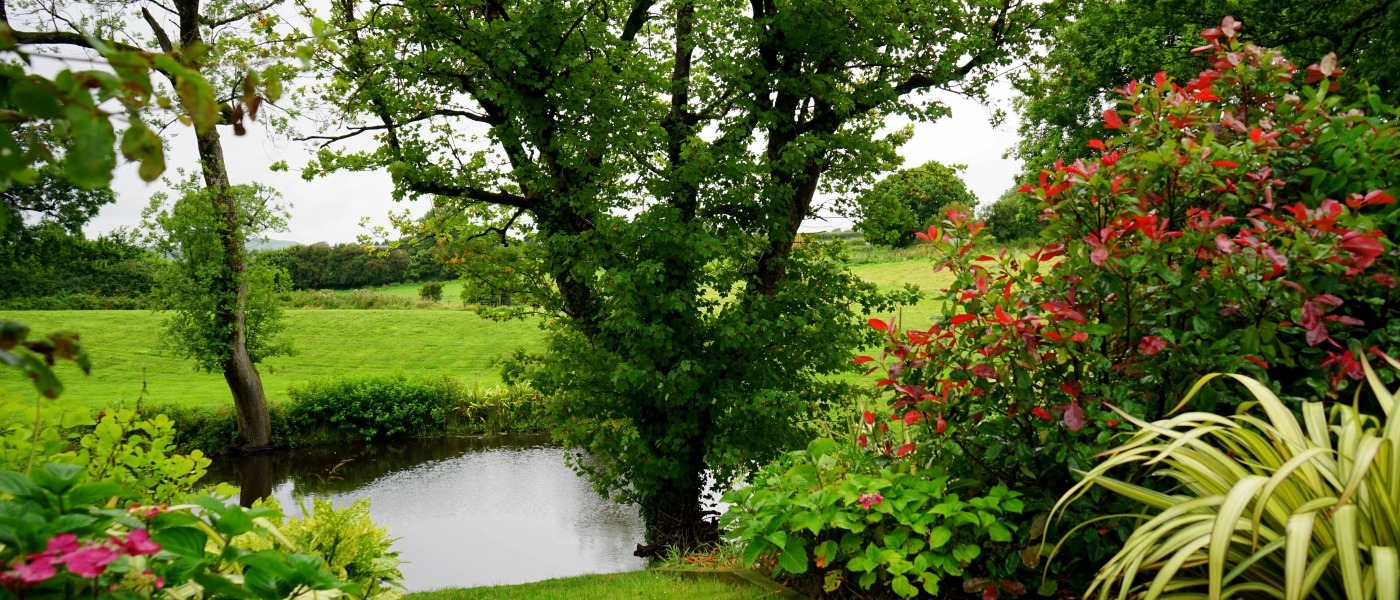 Eliots Landscapes