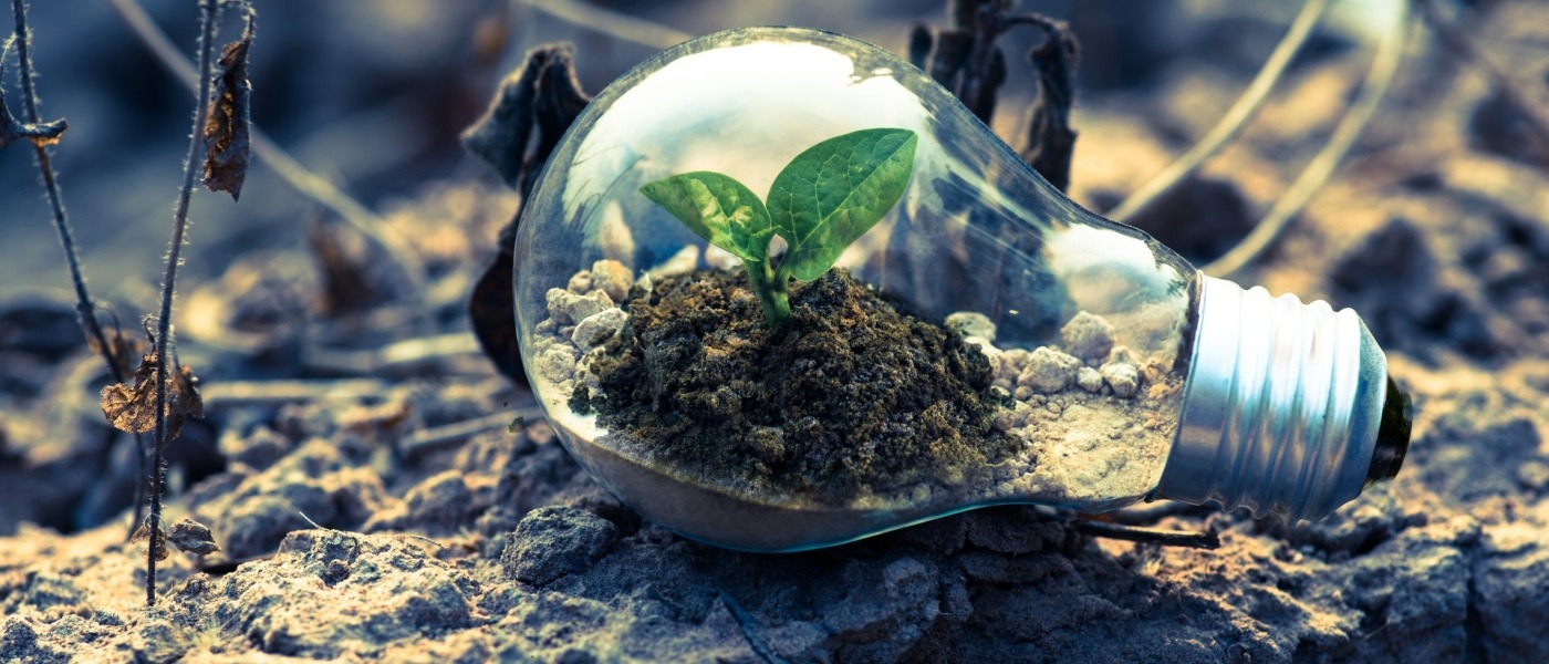 green web hosting