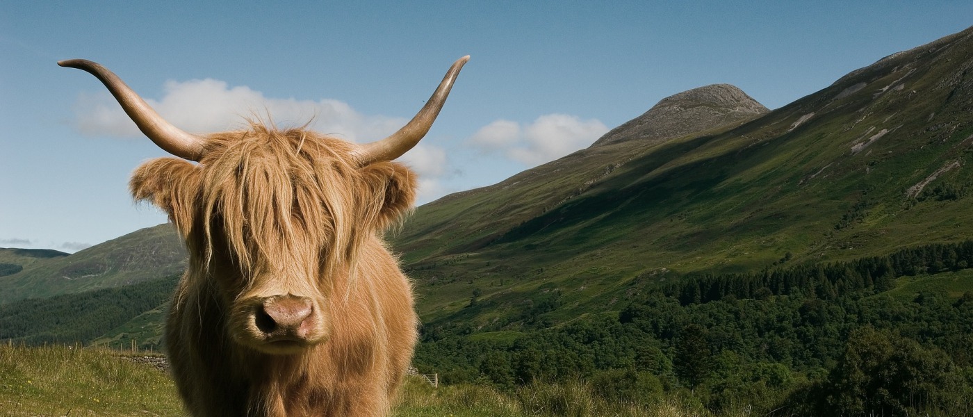 Scottish Land Estates