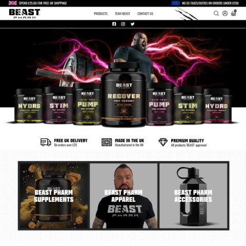 Ecommerce Example
