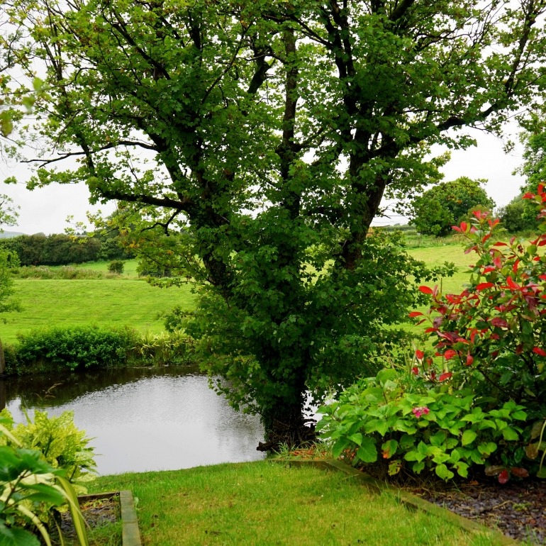 Eliots Landscapes